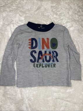 Gray Dino Explorer Long-Sleeve Tee for Kids